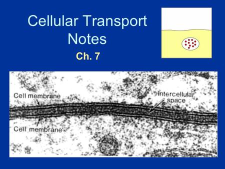 Cellular Transport Notes Ch. 7. About Cell Membranes All cells have a cell membrane Functions: a.Controls what enters and exits the cell to maintain an.