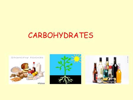 CARBOHYDRATES. Photosynthesis Carbon Dioxide + Water Carbohydrate + Oxygen (Glucose) Sunlight CO 2 H2OH2O O2O2 Carbohydrate.