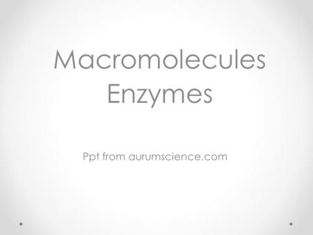 Macromolecules Enzymes Ppt from aurumscience.com.