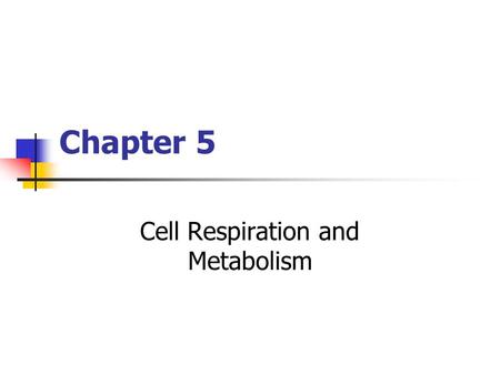 Chapter 5 Cell Respiration and Metabolism. Copyright © The McGraw-Hill Companies, Inc. Permission required for reproduction or display. Metabolism All.