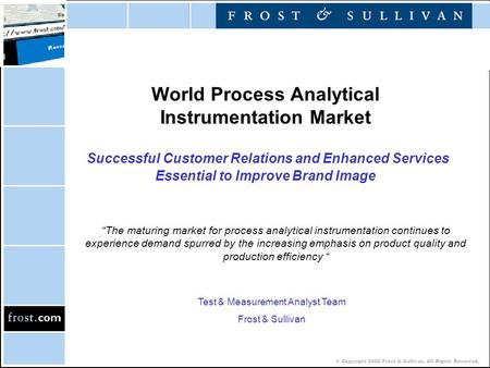 © Copyright 2002 Frost & Sullivan. All Rights Reserved. World Process Analytical Instrumentation Market Successful Customer Relations and Enhanced Services.