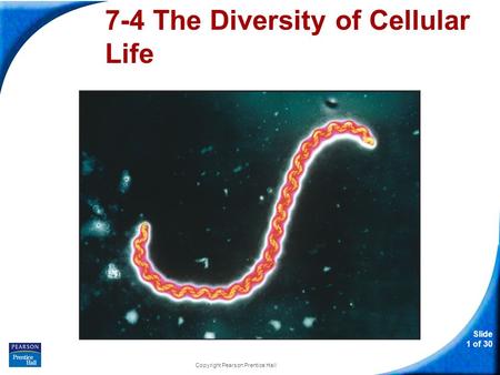 Slide 1 of 30 Copyright Pearson Prentice Hall 7-4 The Diversity of Cellular Life.