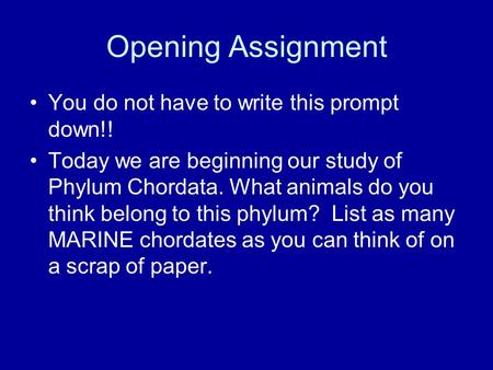 Opening Assignment You do not have to write this prompt down!! Today we are beginning our study of Phylum Chordata. What animals do you think belong to.