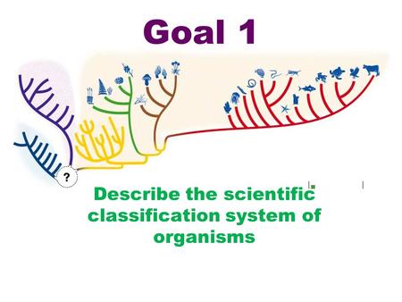 Goal 1 Describe the scientific classification system of organisms.