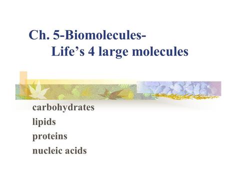 Ch. 5-Biomolecules- Life’s 4 large molecules carbohydrates lipids proteins nucleic acids.
