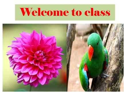 Welcome to class. Teacher’s Identification S ubrata kumar Mondal L ecturer in English S here Bangla College, C hitalmari,Bagerhat.