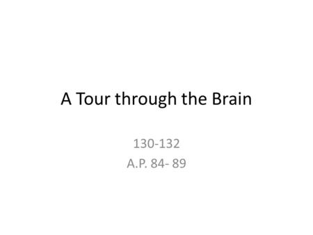 A Tour through the Brain 130-132 A.P. 84- 89. Objectives: The student will Analyze the Brain Stem Describe the portion of the Brain that remembers how.