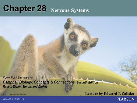 © 2012 Pearson Education, Inc. Lecture by Edward J. Zalisko PowerPoint Lectures for Campbell Biology: Concepts & Connections, Seventh Edition Reece, Taylor,