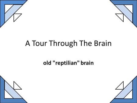 A Tour Through The Brain old reptilian brain. Boy born without a brain.