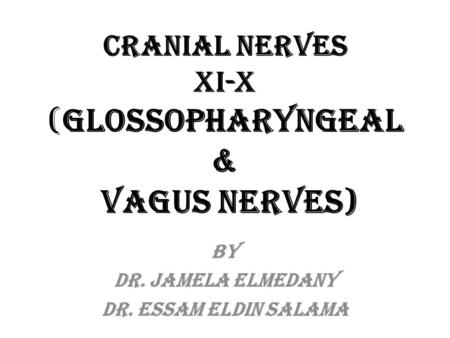 Cranial Nerves XI-X (Glossopharyngeal & Vagus Nerves) By Dr. Jamela Elmedany Dr. Essam Eldin Salama.