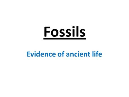Fossils Evidence of ancient life. 4 categories of fossils: 1. Original remains 2. Casts and molds 3. Replacement by minerals 4. Indirect evidence.