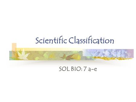 Scientific Classification SOL BIO: 7 a-e. The student will investigate and understand bases for modern classification systems. Key concepts include: