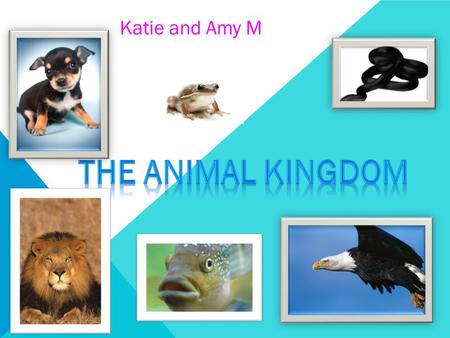 Katie and Amy M The Animal Kingdom.