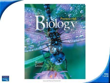 Slide 1 of 24 Copyright Pearson Prentice Hall Biology.