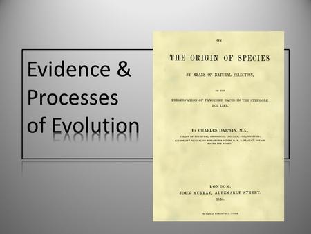 Evidence & Processes of Evolution