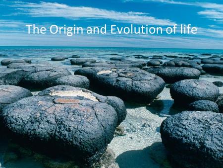 The Origin and Evolution of life. The oldest life on Earth 1.Geological evidence 2.Biological evidence.