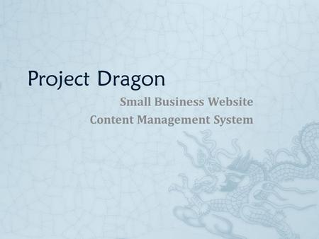 Project Dragon Small Business Website Content Management System.