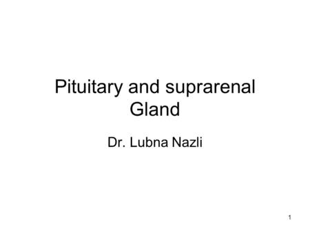 1 Pituitary and suprarenal Gland Dr. Lubna Nazli.
