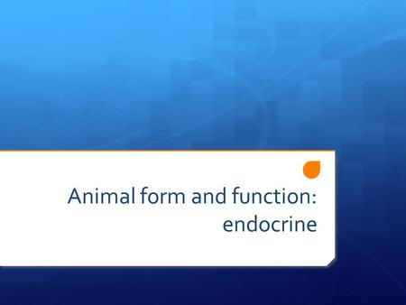 Animal form and function: endocrine. Controls  Animals have 2 systems of control  Nervous: rapid response  Endocrine: slower response. Longer lasting.