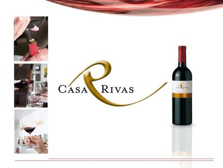 General Overview Casa Rivas (Maria Pinto, Valle del Maipo) 200 hás. own vineyards Fermentation capacity 1,7 MMliters Storage capacity 3,0 MMliters Barrels:1,500.