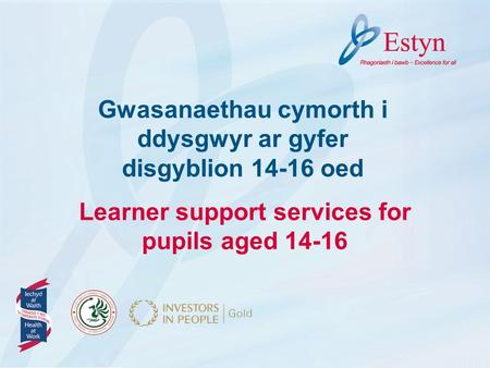 Learner support services for pupils aged 14-16 Gwasanaethau cymorth i ddysgwyr ar gyfer disgyblion 14-16 oed.