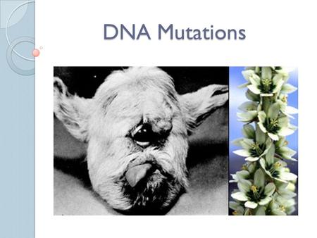DNA Mutations. Victims of Chernobyl - Mutations What are mutations? Mutations are a change in the genetic material of a cell (i.e. the genes).