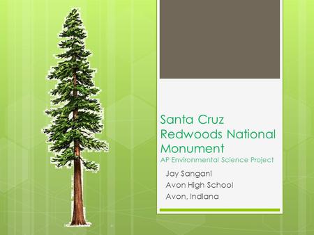 Santa Cruz Redwoods National Monument AP Environmental Science Project Jay Sangani Avon High School Avon, Indiana.