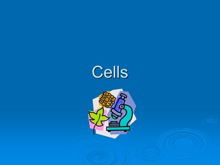 Cells. Vocabulary Cells – building blocks of life. Tissues – a group of cells that work together as a team. Organs – a group of tissues working together.