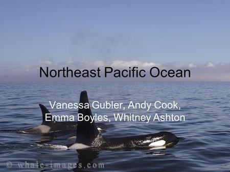 Northeast Pacific Ocean Vanessa Gubler, Andy Cook, Emma Boyles, Whitney Ashton.