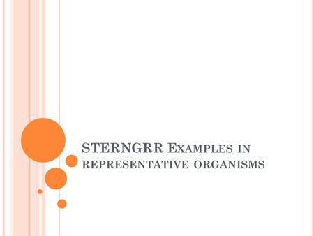 STERNGRR Examples in representative organisms