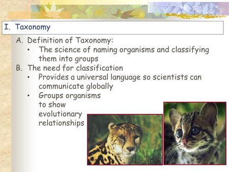 A.Definition of Taxonomy: The science of naming organisms and classifying them into groups B.The need for classification Provides a universal language.