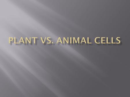  Both animal and plant cells have cell membranes that enclose the cell  The cell membrane holds the cell together.