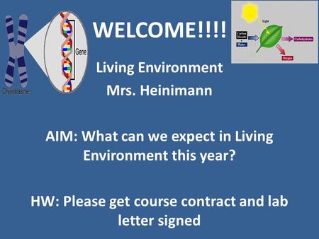 WELCOME!!!! Living Environment Mrs. Heinimann AIM: What can we expect in Living Environment this year? HW: Please get course contract and lab letter signed.