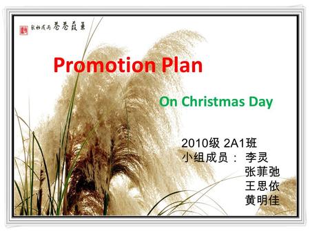 21.10.2015 2010 级 2A1 班 小组成员： 李灵 张菲弛 王思依 黄明佳 Promotion Plan On Christmas Day.