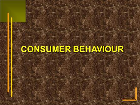 CONSUMER BEHAVIOUR.