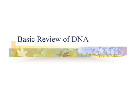 Basic Review of DNA. Biomolecules These are the molecules that make up all living things Carbohydrates Lipids Proteins-chains of amino acids Nucleic acids-chains.