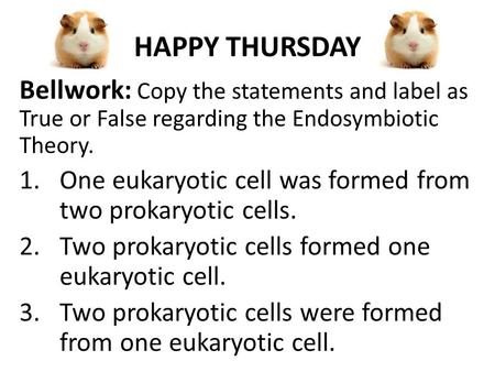 HAPPY THURSDAY Bellwork: Copy the statements and label as True or False regarding the Endosymbiotic Theory. 1.One eukaryotic cell was formed from two prokaryotic.