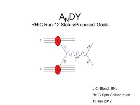 A N DY RHIC Run-12 Status/Proposed Goals L.C. Bland, BNL RHIC Spin Collaboration 13 Jan 2012.