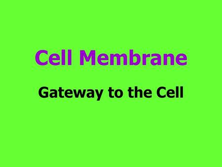 Cell Membrane Gateway to the Cell. Cell Membrane The cell membrane is flexible and allows a unicellular organism to move.