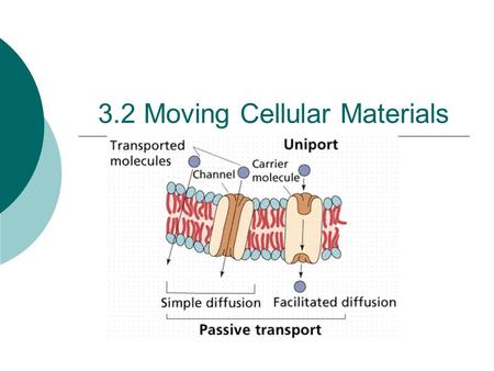 3.2 Moving Cellular Materials. Passive Transport  A cell has a membrane around it that works for a cell like a window screen does for a room.  A cells.