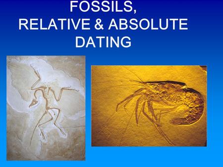 FOSSILS, RELATIVE & ABSOLUTE DATING