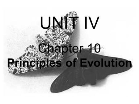 Chapter 10 Principles of Evolution