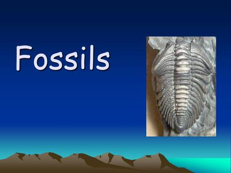Fossils. What is a fossil? A fossil is the preserved remains of a once-living organism.