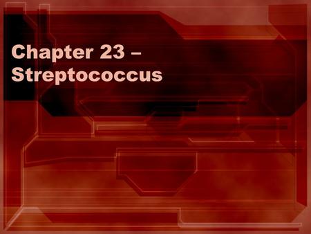 Chapter 23 – Streptococcus. Introduction Gram + cocci in chains Most are facultative anaerobes –Some only grow with high CO 2 Ferment carbs. to lactic.
