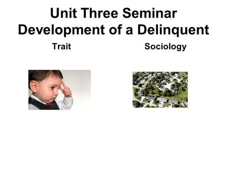 Unit Three Seminar Development of a Delinquent TraitSociology.