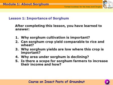 Virtual Academy for the Semi Arid Tropics Course on Insect Pests of Groundnut Module 1: About Sorghum After completing this lesson, you have learned to.