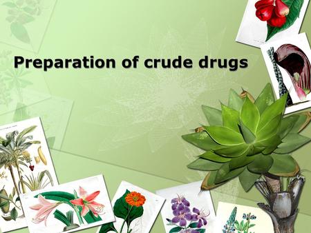 Preparation of crude drugs. 1. Collecting of medicinal plants Suitable time for collection A. Suitable time for collection The amount of a constituent.