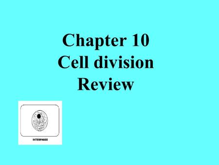 Chapter 10 Cell division Review. This spot that holds the 2 chromatid copies together is called a ______________________ centromere The phase of the cell.