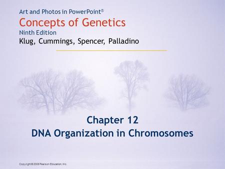 Copyright © 2009 Pearson Education, Inc. Art and Photos in PowerPoint ® Concepts of Genetics Ninth Edition Klug, Cummings, Spencer, Palladino Chapter 12.