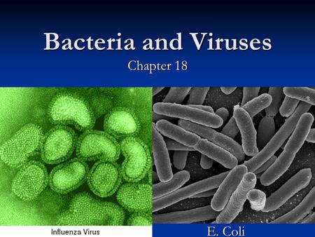 Bacteria and Viruses Chapter 18 E. Coli. What is a Virus? Nonliving particle—Why not alive? Nonliving particle—Why not alive? No respiration No respiration.
